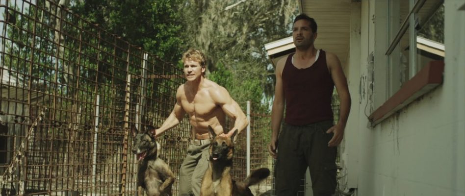 Rusty James Dogs